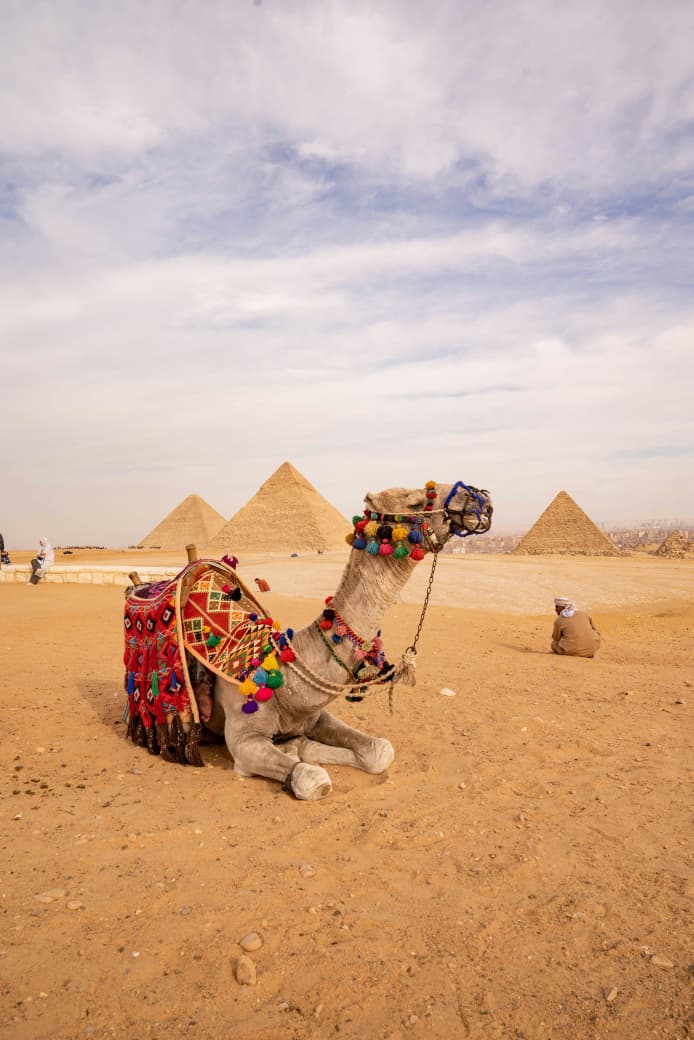 Full-Day Giza Pyramids &amp; Grand Egyptian Museum Tour