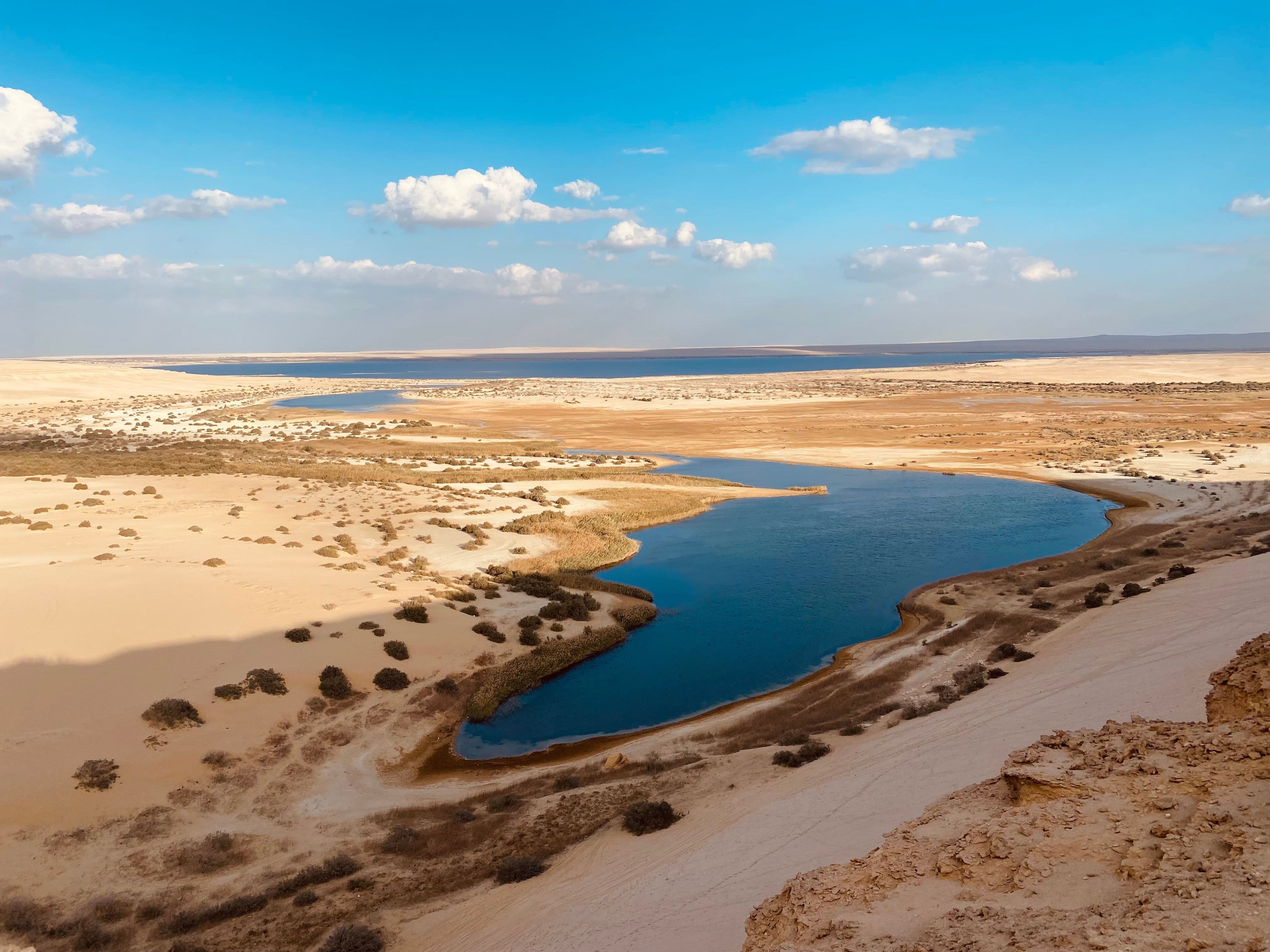 Fayoum Oasis Day Trip: Nature, History & Adventure