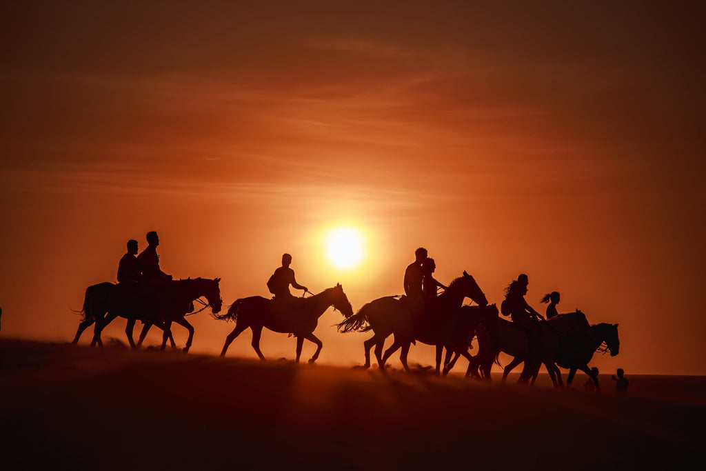 Horse Riding at the Giza Pyramids